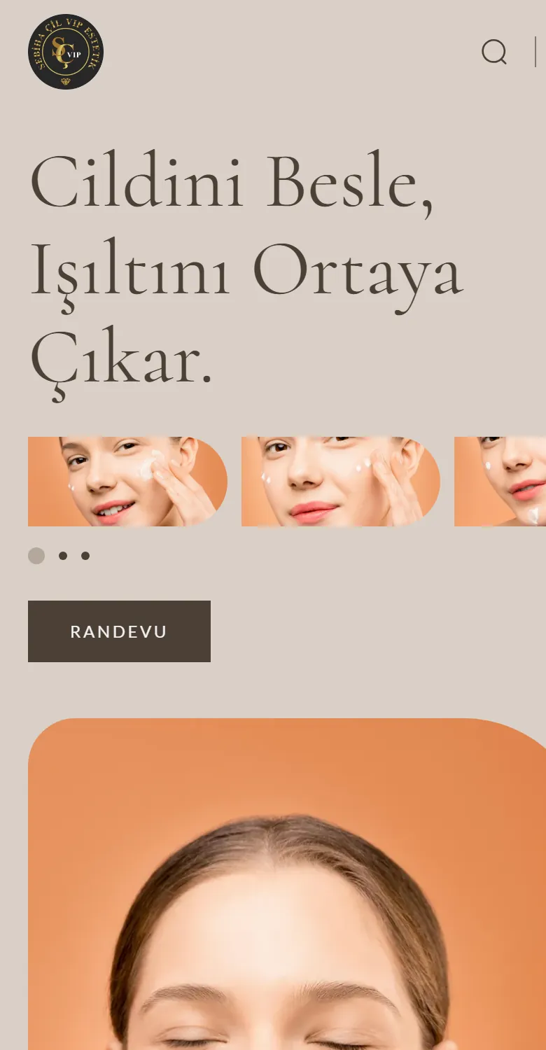 Aynı sitenin telefon görünümü